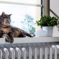 Що робити тернополянам, у яких холодні батареї