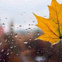 Тепло несподівано повертається в Україну: прогноз погоди на тиждень (карта)