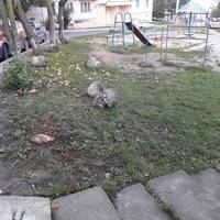 В одному з тернопільських дворів діти можуть поранитись