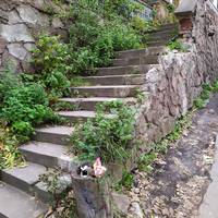 У мережі показали стан історичних місць Тернополя (фото)