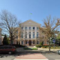 До Тернопільської міської ради проходять чотири партії – попередні результати