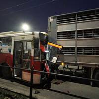 У Тернополі тролейбус із людьми в’їхав у вантажівку із свиньми (ФОТО)