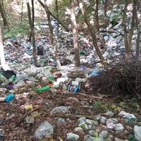 “Це жахливо”: у селі на Тернопільщині ліс перетворили на сміттєзвалище (Відео)