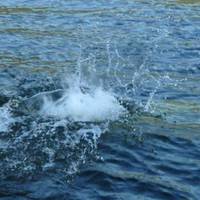 На Тернопільщині біля річки чоловік побачив мертву людину