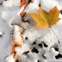 Дощ на Новий рік та морози: якою буде погода до кінця 2020 року