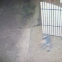 “Нешановні злодюги, даю вам 24 години повернути усе”: у Петрикові сталася серія крадіжок (Фото)