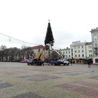 Головну ялинку Тернополя «одягають» у штучну хвою