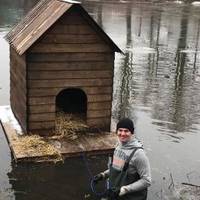 У Козові посеред озера для лебедів встановили хатинку (фото)