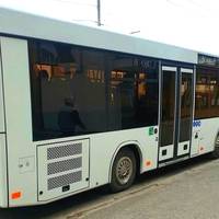 У Тернополі розпочинає свою роботу автобусний маршрут №37, що сполучає Овочевий ринок з масивом «Східний»