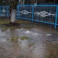 Відео. Новорічний 