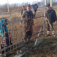 Косили траву і малювали огорожу: у селі на Тернопільщині місцеві жителі взялися за благоустрій (фото)