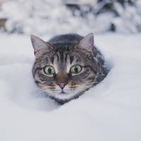 До -14° морозу: якою буде погода наступного тижня