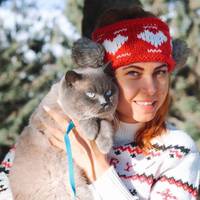 На Тернопільщині живе кіт-мандрівник (ФОТО)