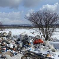 Неподалік Тернополя люди масово скидають сміття