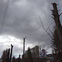 Знищений цукровий завод на Тернопільщині нагадує фільм жахів (фото)