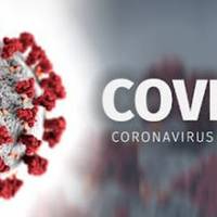 ЗА МИНУЛУ ДОБУ НА ТЕРНОПІЛЬЩИНІ ПІДТВЕРДЖЕНО 710 НОВИХ ВИПАДКІВ COVID-19