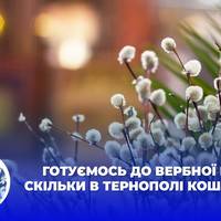 Готуємось до вербної неділі: скільки в Тернополі коштує лоза. ВІДЕО