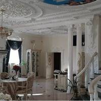“Ціну зменшили”: біля Тернополя продають будинок за понад мільйон доларів. Чим він особливий (ФОТО)