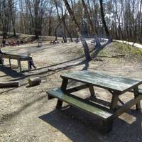 У тернопільському парку відновили зону для барбекю (фото)