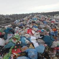 Дитинка вагою 4 кг., – подробиці страшної знахідки на Тернопільщині