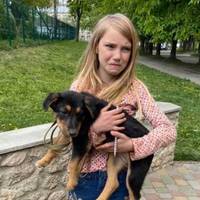 У Тернополі дитині на майданчику залишили цуценя: дівчинка в розпачі (фото)
