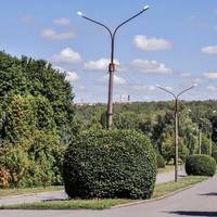 Завтра у парку Національного відродження травитимуть кліщів
