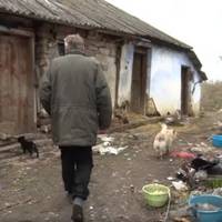 ВІДЕО. Справжій фільм жахів: на Тернопіллі літню жінку роками ґвалтував психічно хворий син, а потім бідолашну живцем їли собаки