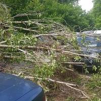 Повалені дерева та потрощені автомобілі: Тернополем пройшовся потужний буревій (ФОТО)