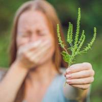 Потрібно знищити, поки не зацвіла: мешканцям Тернопільщини нагадують про небезпечну рослину
