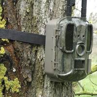 У Тернополі порушників ловитимуть на “фотопастки”