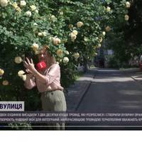 Трояндова вулиця: тернополяни зробили зі спільного подвір’я безкоштовну фотолокацію (Відео)