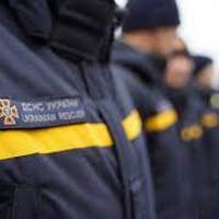 На Чортківщині у лісі виявили дві мінометні міни