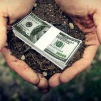 Дерибан землі: у селі біля Тернополя ділянки планують виділити особам, які там не живуть (фото)