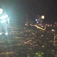 На дорозі працюють рятувальники: у Зборові сильний буревій наробив лиха (фото)