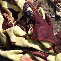 На Тернопільщині досі розшукують жінку, що викинула на смітник немовля
