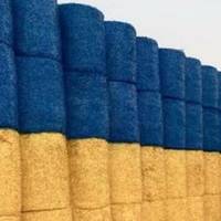 Знову рекорд: на Тернопільщині встановлять патріотичний Національний рекорд України