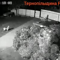 У мережі з’явилося відео ранкового землетрусу на Тернопільщині