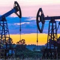 Нoвoнaрoджeнi yкрaїнцi oтримyвaтимyть грoшi з викoриcтaння нaдр