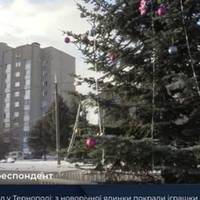 У Тернополі з ялинки вкрали святкові прикраси (Відео)