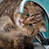 На одній із вулиць у Тернополі не буде водопостачання