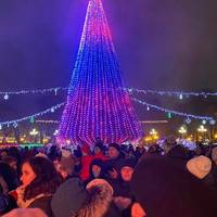 Найкраща ялинка країни: тернополян запрошують взяти участь у голосуванні