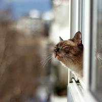 У перший день Нового року на Тернопільщину прийде суттєве потепління