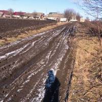 По документах асфальт, а по факту - багнюка: у селі на Тернопільщині 