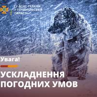 Наступна доба на Тернопільщині буде сніжною з сильними поривами вітру