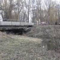 Розчленоване тіло у річці Збруч: на Тернопільщині чоловік по-звірячому розправився з дружиною