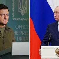 Зеленський дуже жорстко потролив путіна (відео)