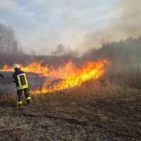 Паліїв трави вважатимуть диверсантами, попереджає влада мешканців Тернопільщини