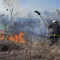 На Тернопільщині сталася масштабна пожежа: 3 гектари вигоріло вщент