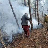 Паліїв не спиняє навіть війна: на Тернопільщині вигоріли гектари лісу