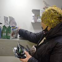 Безкоштовний корм для домашніх тварин: де отримати в Тернополі